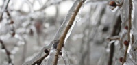 В Нижнем Новгороде ожидаются заморозки